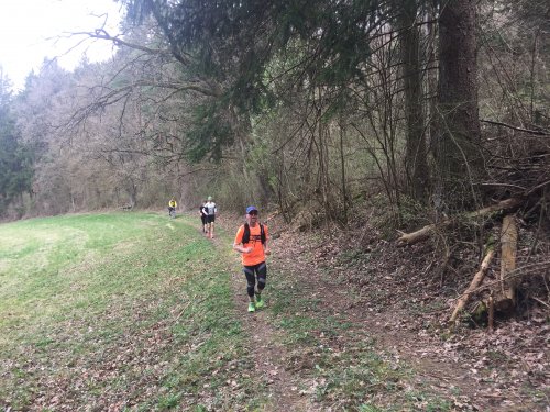 Datei 02.04.17 23 34 33.jpeg